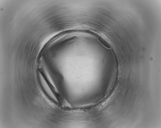 X0000088060838200706011446
