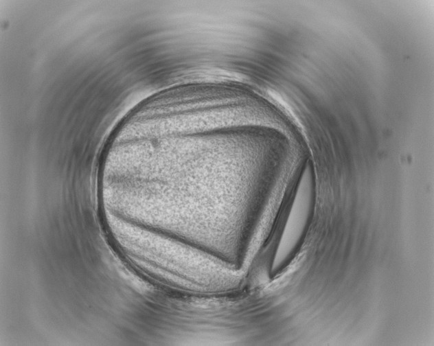 X0000088060843200706011446
