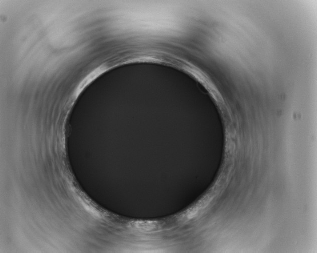 X0000088060858200706011447