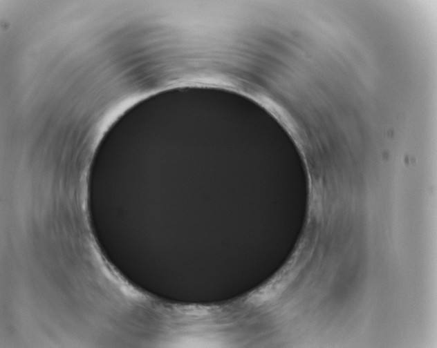 X0000088060862200706011447