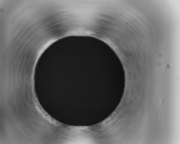 X0000088060864200706011447