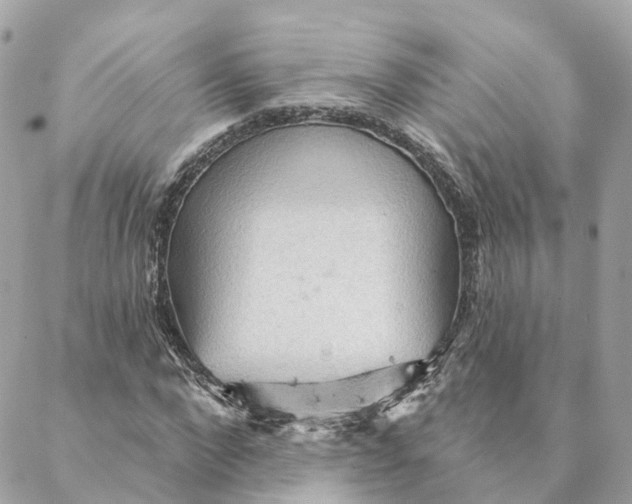 X0000088060872200706011446