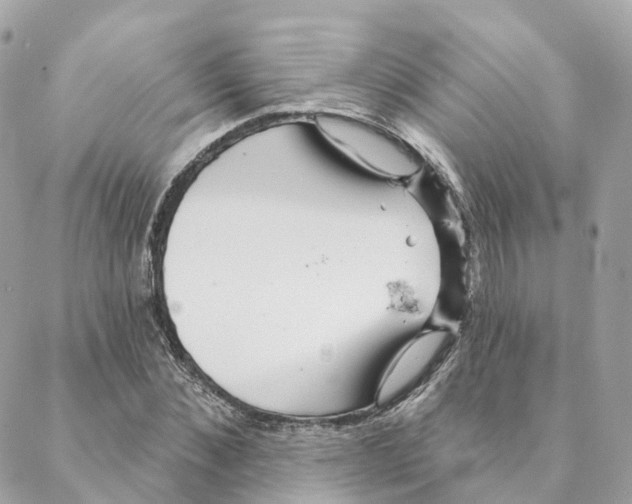 X0000088060876200706011446