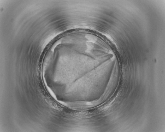 X0000088060879200706011446