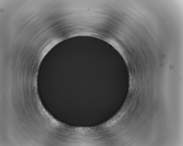 X0000088060906200706011445