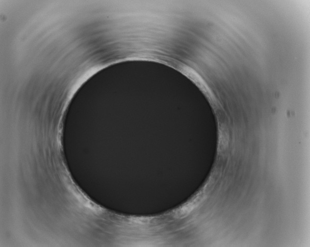 X0000088060908200706011445