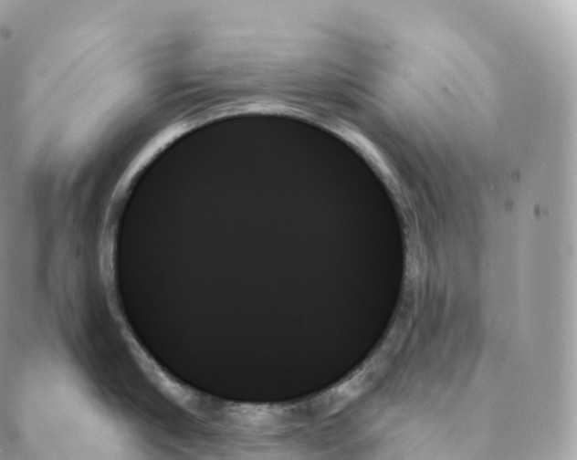 X0000088060910200706011445