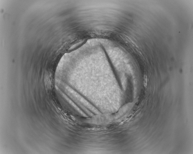 X0000088060915200706011445