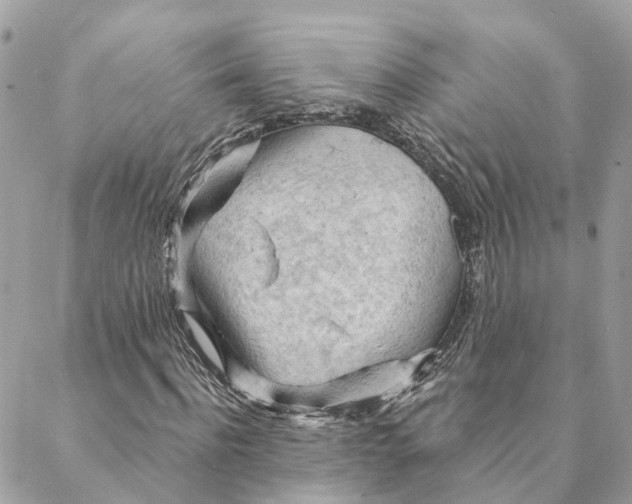 X0000088060916200706011445
