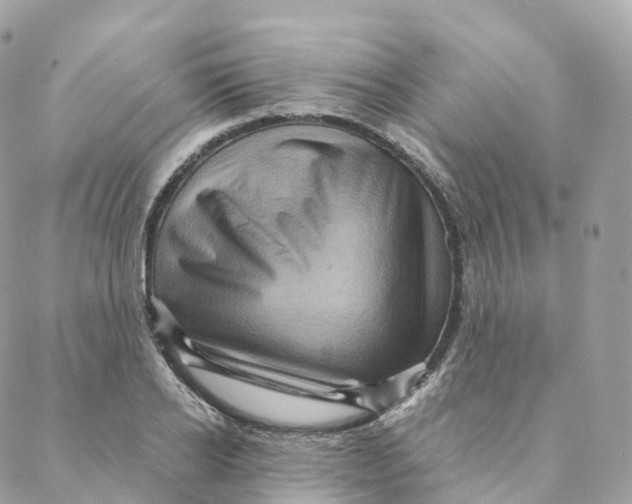 X0000088060934200706011445