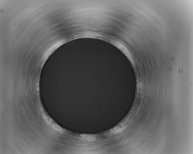 X0000088060954200706011445