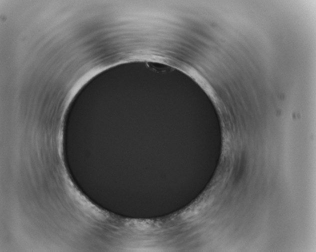 X0000088060955200706011445