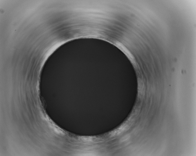 X0000088060956200706011445