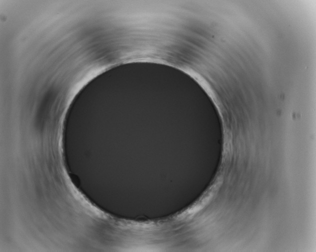 X0000088060957200706011445