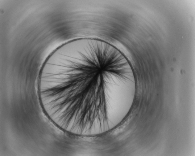 X0000088060958200706011445