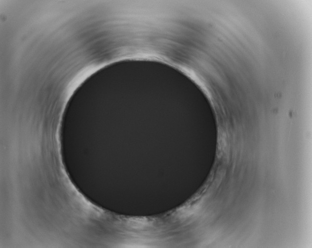 X0000088060959200706011445