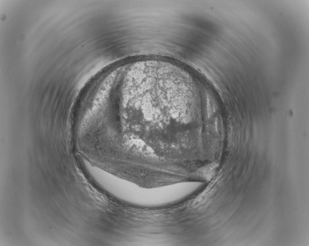 X0000088060975200706011444
