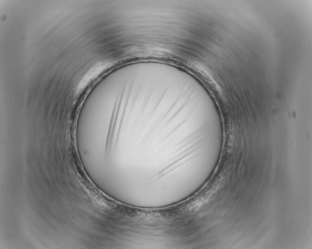 X0000088060978200706011444