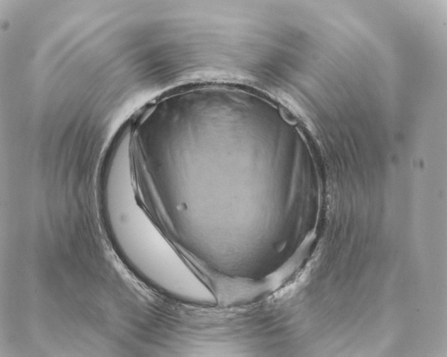X0000088060981200706011444