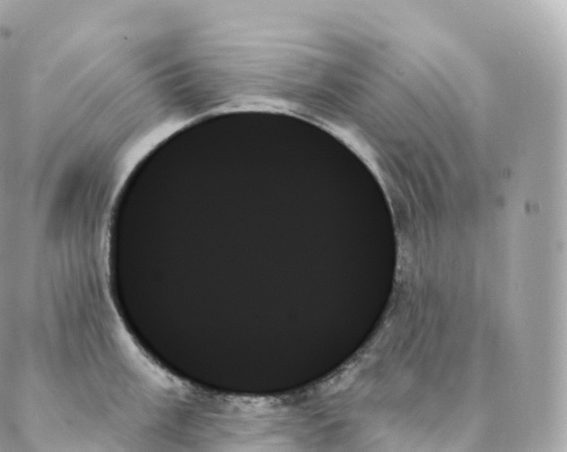 X0000088061003200706011444