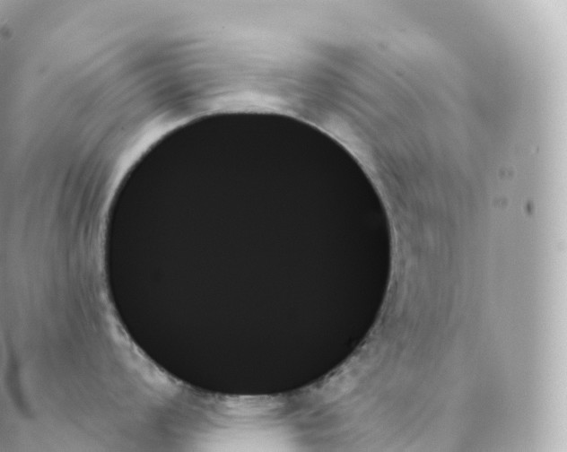 X0000088061008200706011444