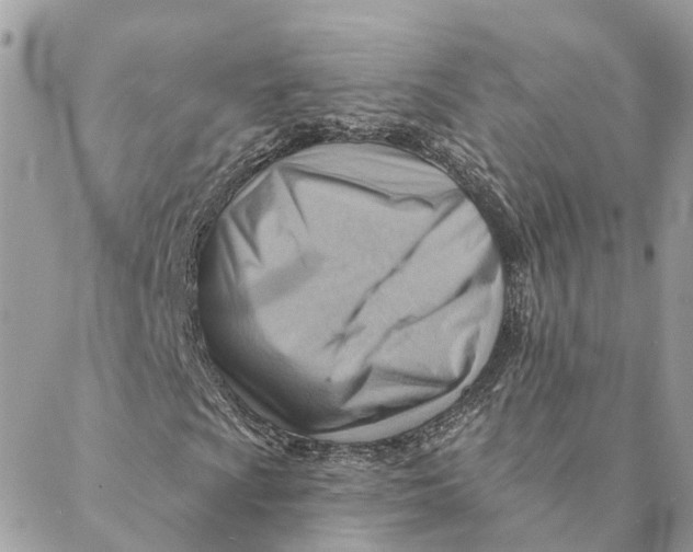 X0000088061009200706011443