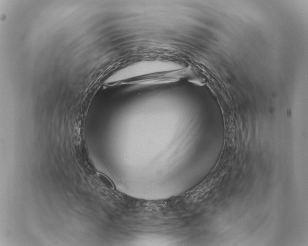 X0000088061013200706011443