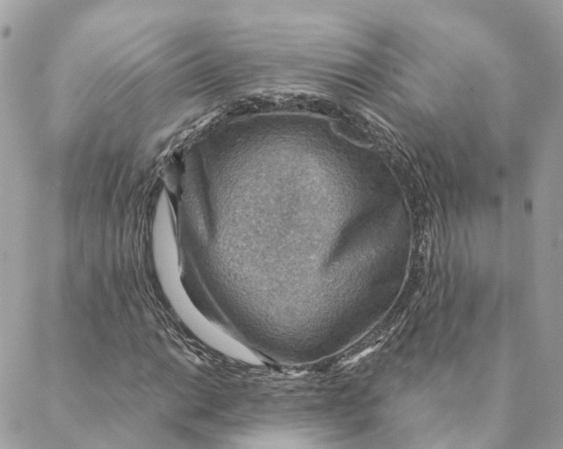 X0000088061014200706011443