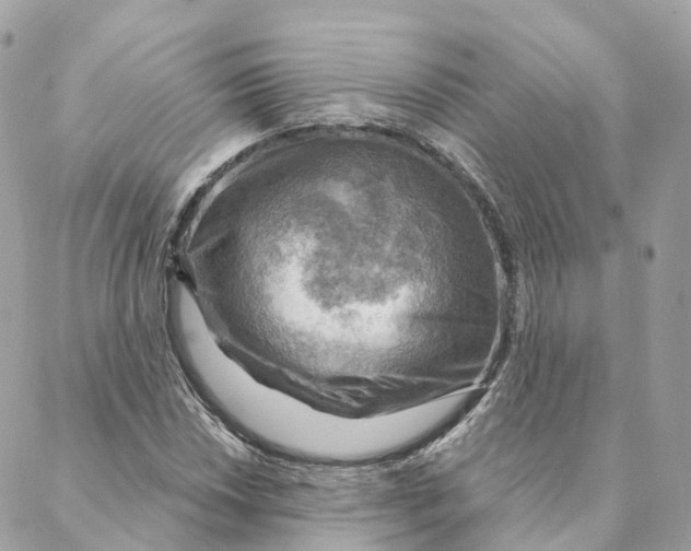 X0000088061018200706011443