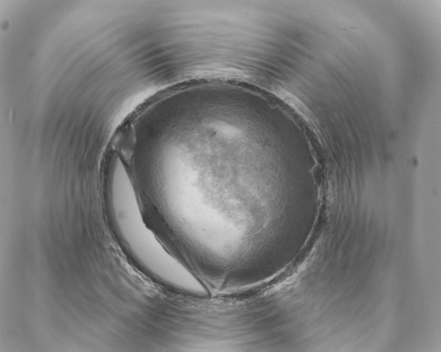 X0000088061022200706011443
