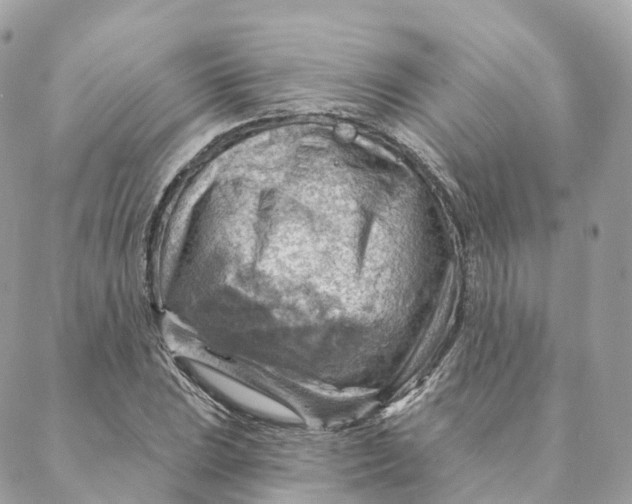X0000088061023200706011443
