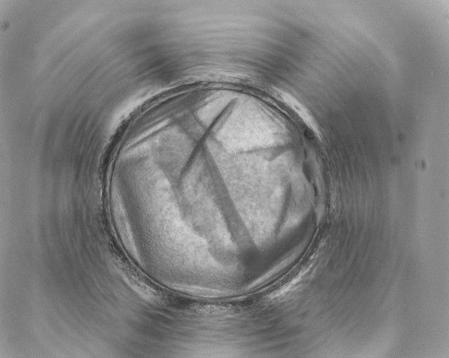 X0000088061027200706011443