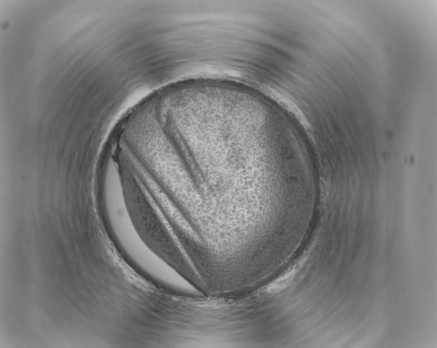 X0000088061029200706011443