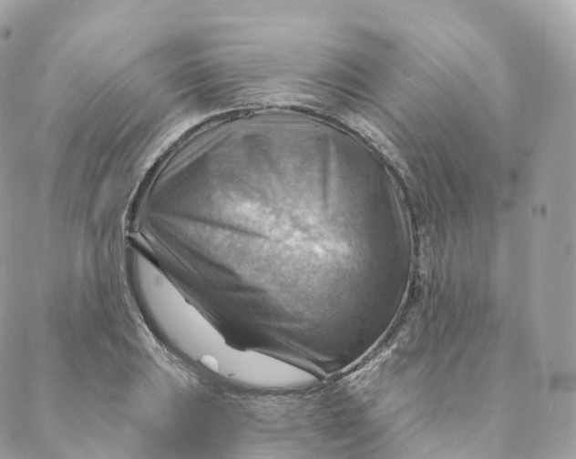 X0000088061031200706011443