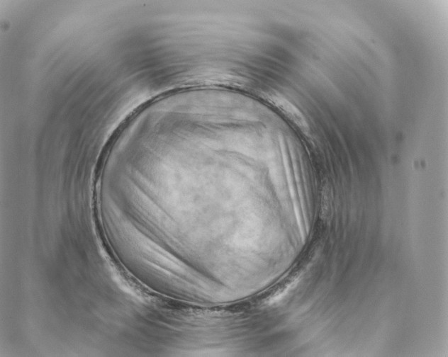 X0000088061039200706011443