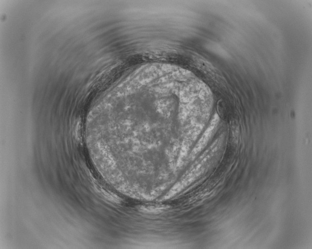 X0000088061060200706011443