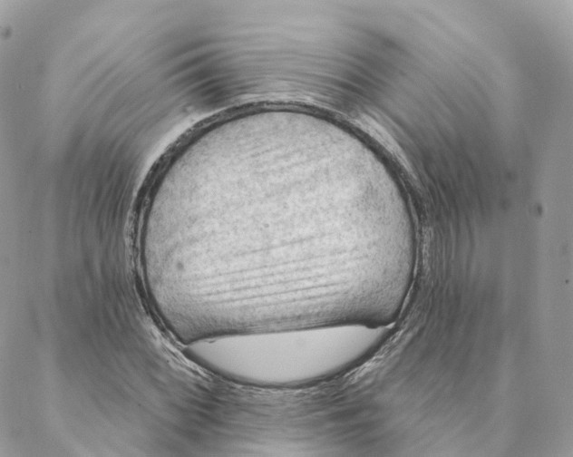 X0000088061068200706011443