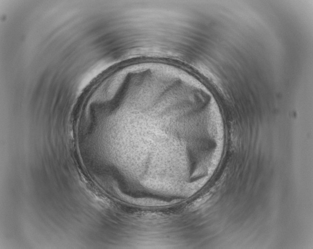 X0000088061070200706011443