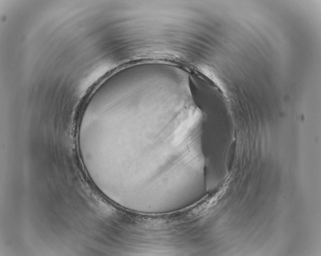X0000088061071200706011443