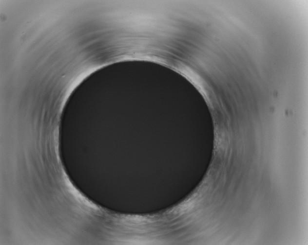X0000088061100200706011442