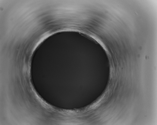X0000088061101200706011442