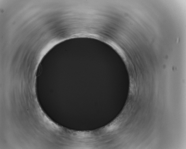 X0000088061102200706011442