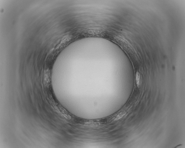 X0000088061107200706011441