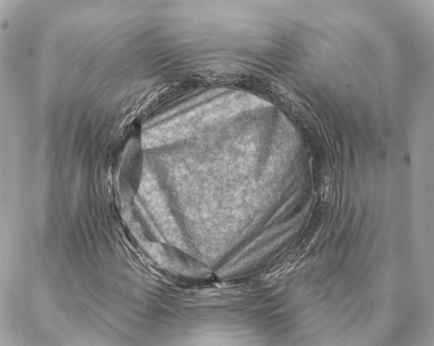 X0000088061108200706011441
