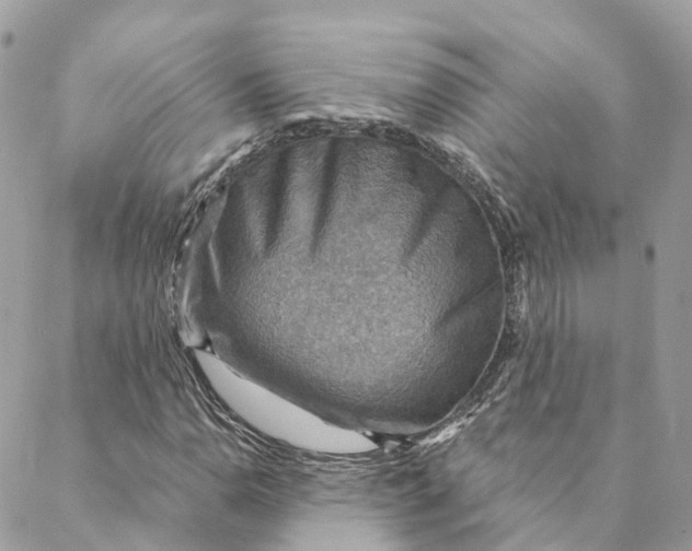 X0000088061110200706011441