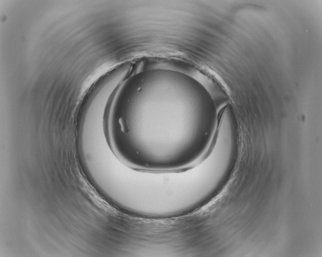 X0000088061114200706011442