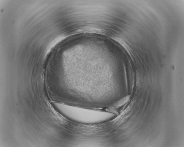 X0000088061115200706011442