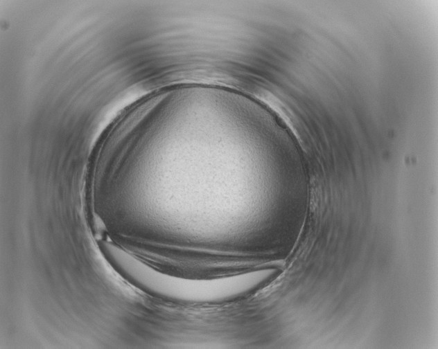 X0000088061139200706011442