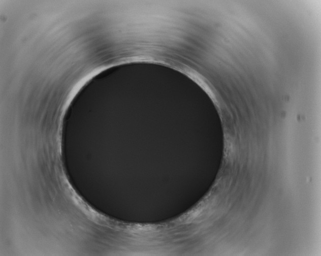 X0000088061148200706011442