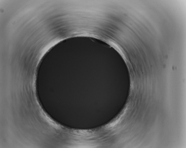 X0000088061149200706011442